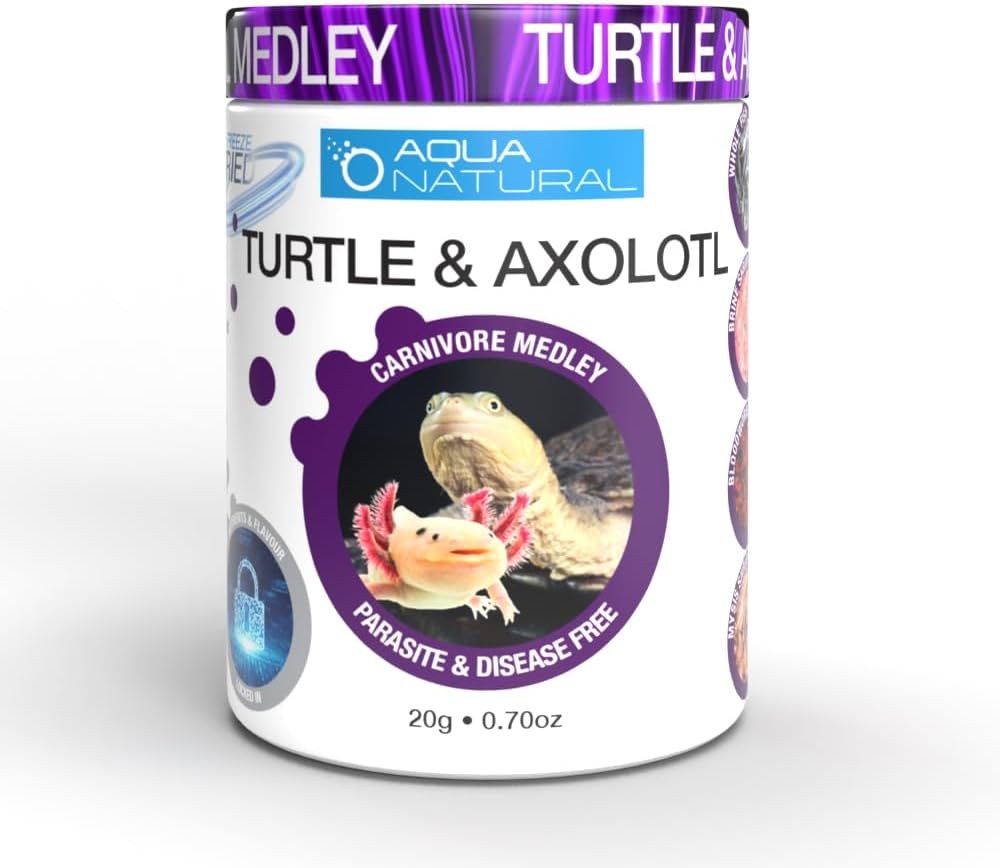 Turtle & Axolotl Medley photo 2